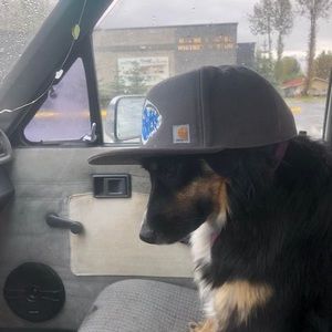 Meet your Posher, Kyle